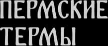 Логотип партнёра «Пермтерминал»